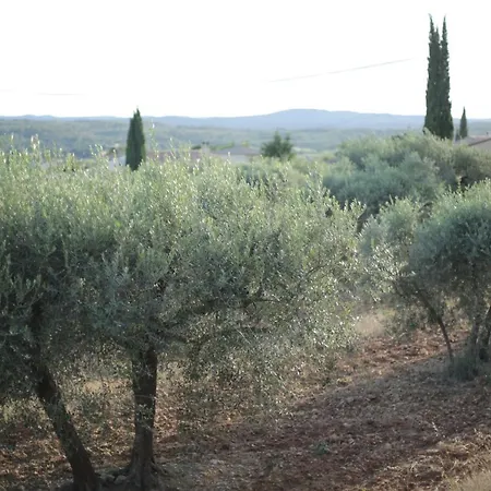 Le Jardin D'eden * Tavernes