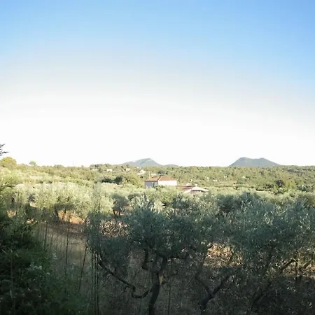 Le Jardin D'eden